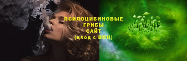 ГАЛЛЮЦИНОГЕННЫЕ ГРИБЫ Алексин