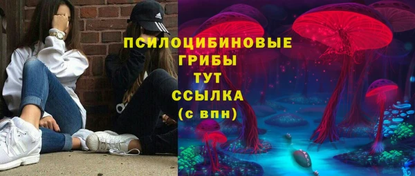 Альфа ПВП Осташков