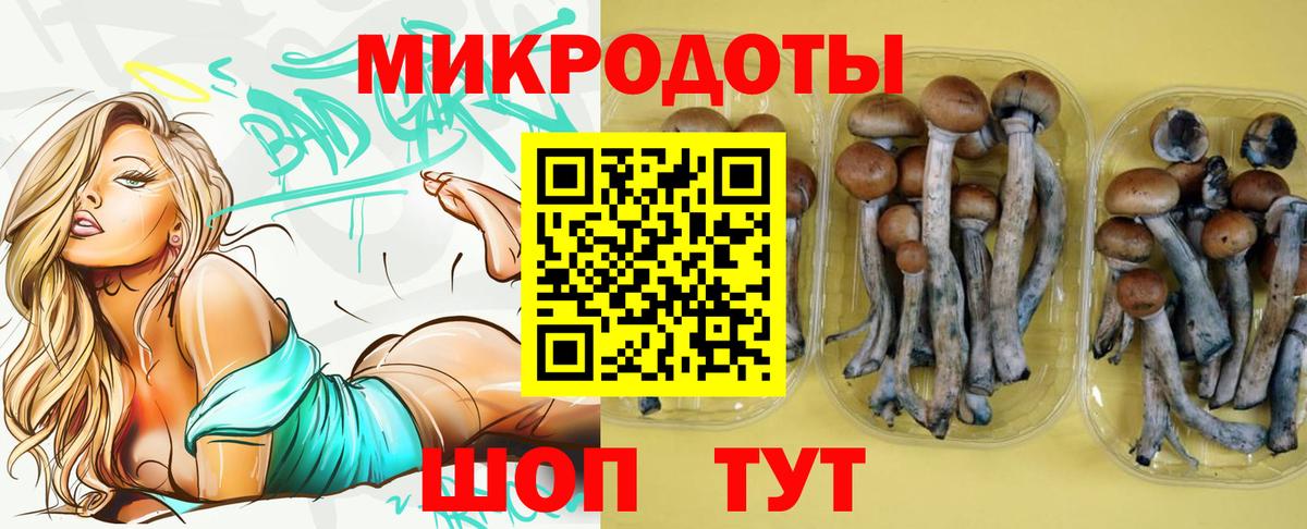 Псилоцибиновые грибы MAGIC MUSHROOMS  Вход с VPN  Чапаевск 